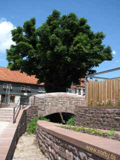 14 Bettenrennen 05-07-09 8486.jpg (96508 Byte)