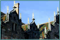 021088.jpg (154046 Byte)