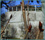 021094.jpg (166764 Byte)