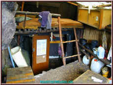 oa050606.jpg (113180 Byte)