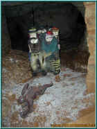 o801155.jpg (97460 Byte)