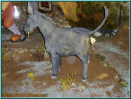 o801172.jpg (96418 Byte)