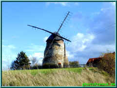 o080723.jpg (140409 Byte)